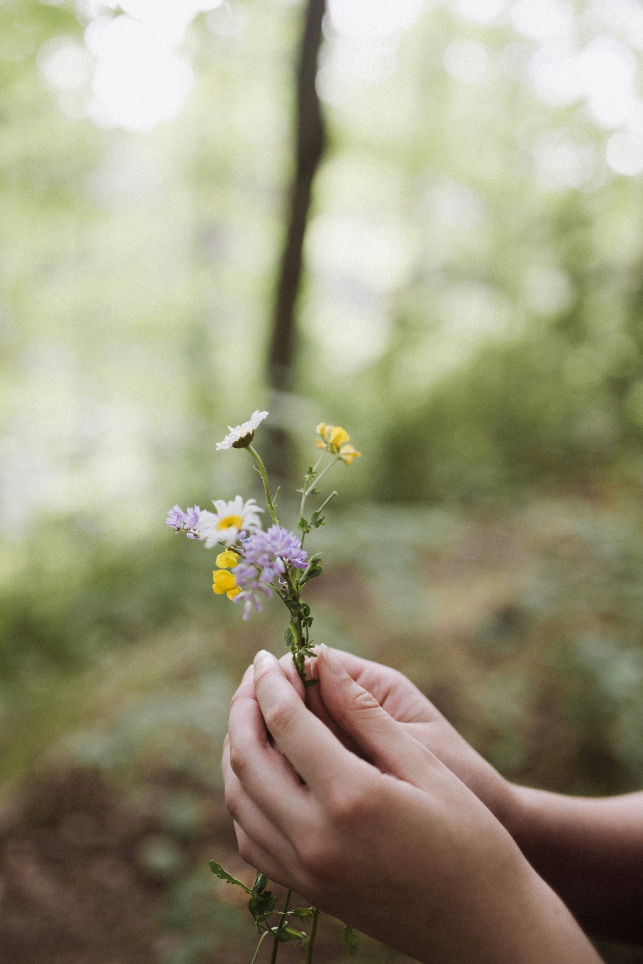 Ruce držící drobnou kytici lučních květin jako symbol metody FLORA